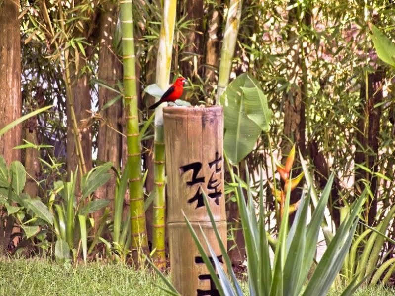 Pousada Bambu อิตากาเร ภายนอก รูปภาพ